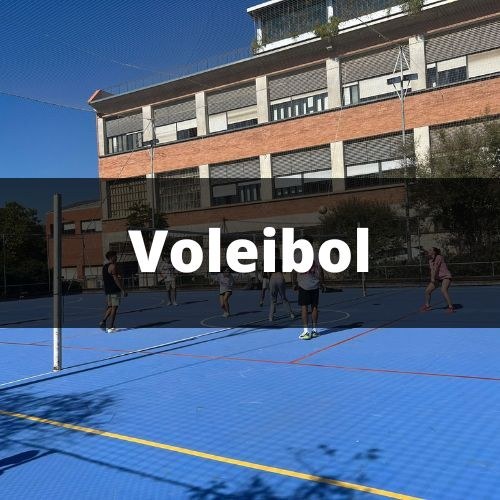 Volei campus Terrassa.jpg