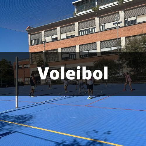 Volei campus Terrassa.jpg