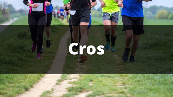 Cros.jpg
