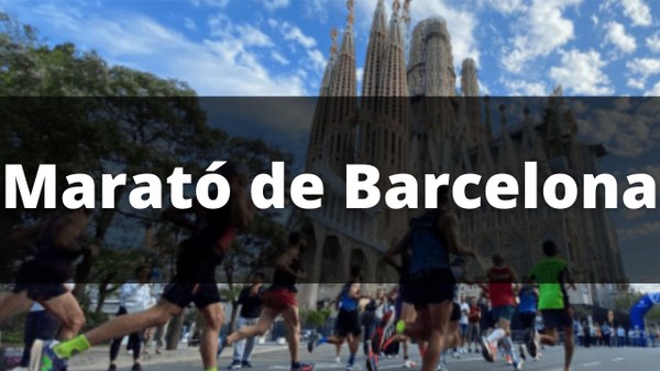 Zurich Marató Zurich Marató