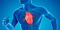 Electronic cardioarteriograph