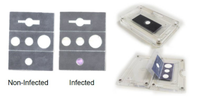 Foldable paper-based devide for detection of infection in body fluids