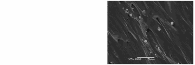 Nanomaterials tèxtils i nanotecnologies.png