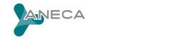 aneca.jpg