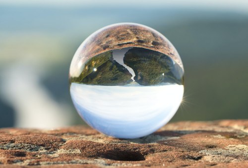 Registre d'eliminacions del 2025