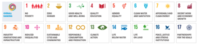 THE Impact SDGs