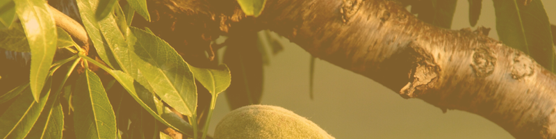 Comptabilitat Analítica