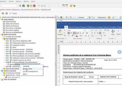 Informe Justificatiu Firma