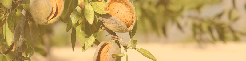 Assegurances General 2