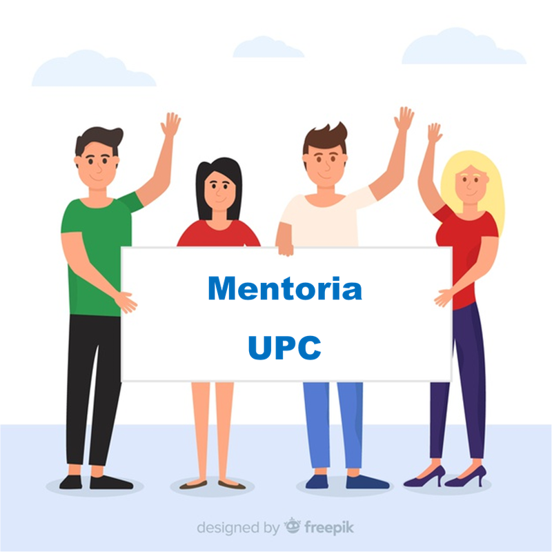 Mentoria 5