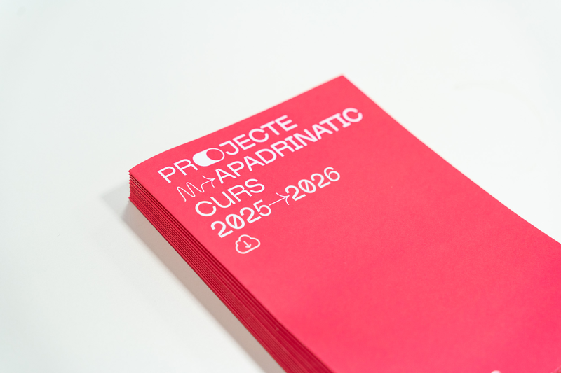 Imatge genèrica apadrinatic VI edició.png