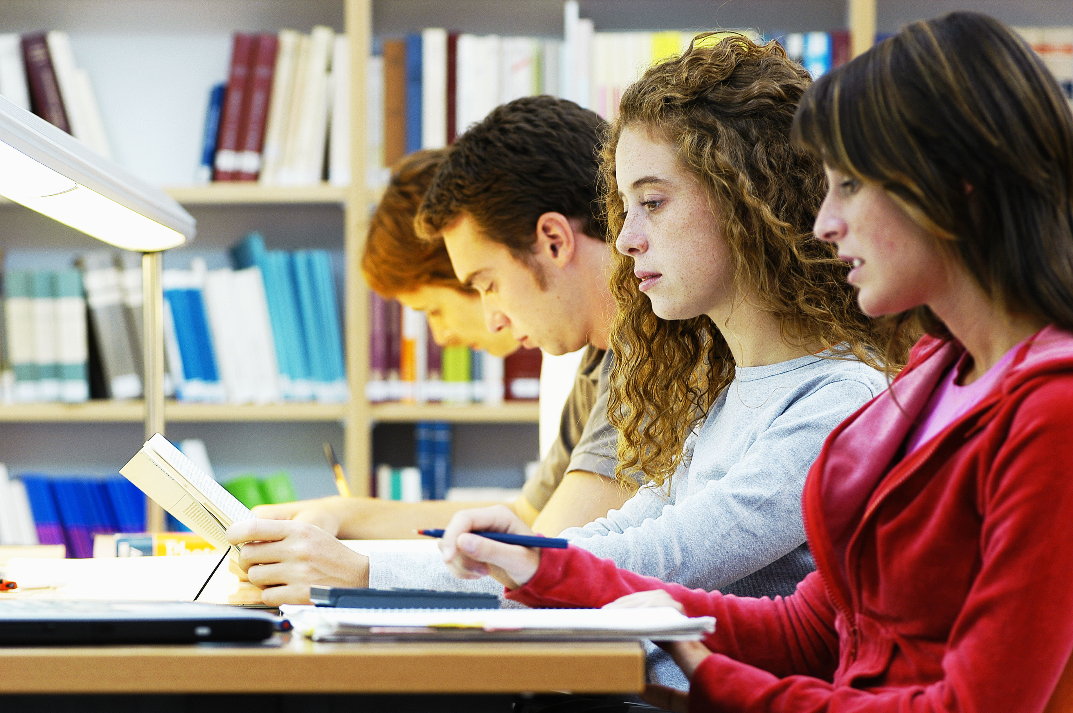 Inicia't en el català