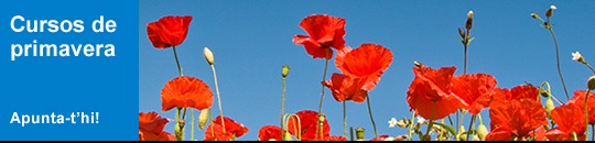 Cursos de primavera (inici)