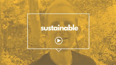 Com pronunciem 'sustainable'?