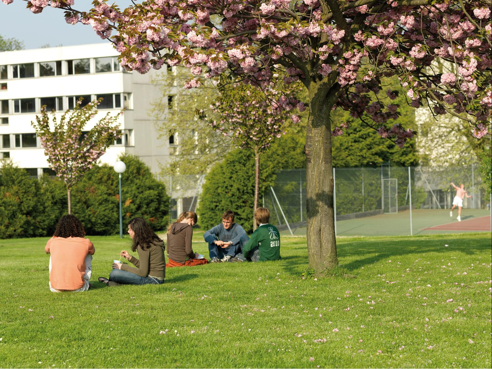 Ecole Centrale Paris 02