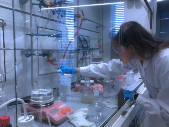 Prácticas o Doctorado.png